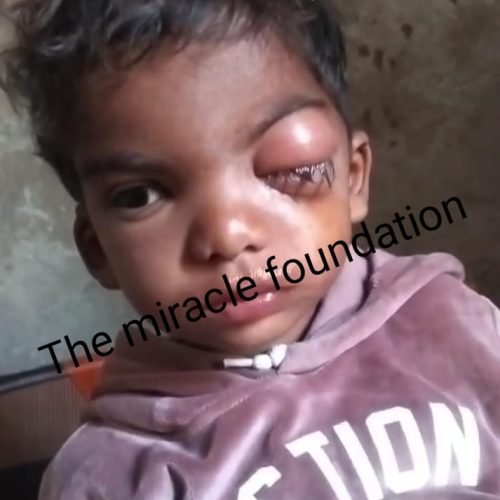 WhatsApp Image 2025-11-07 at 6.19.38 PM