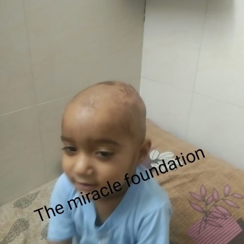WhatsApp Image 2026-05-18 at 11.24.07 AM